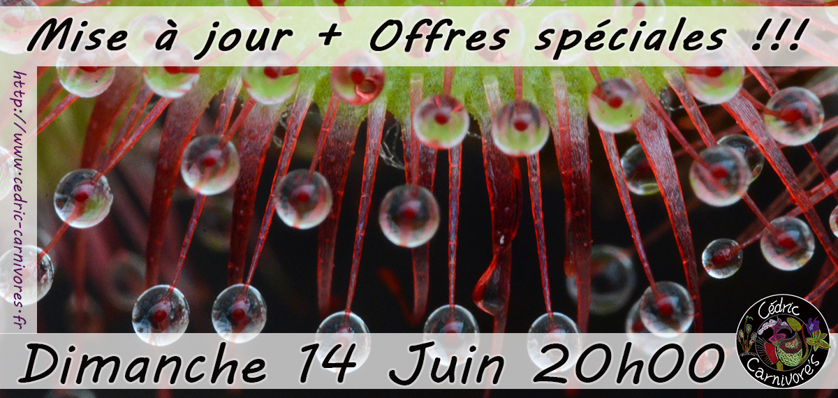 Rendez-vous Dimanche 14 Juin à 20h00 pile !